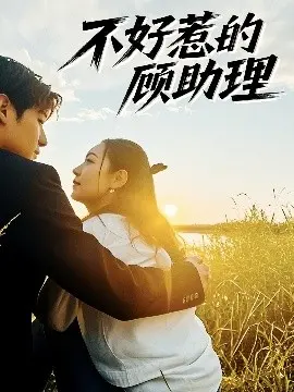 《不好惹的顾助理》：霸道总裁爱上我？不，是职场女王的逆袭爽剧！